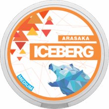Iceberg Arasaka Medium