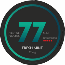 77 Pouches Fresh Mint