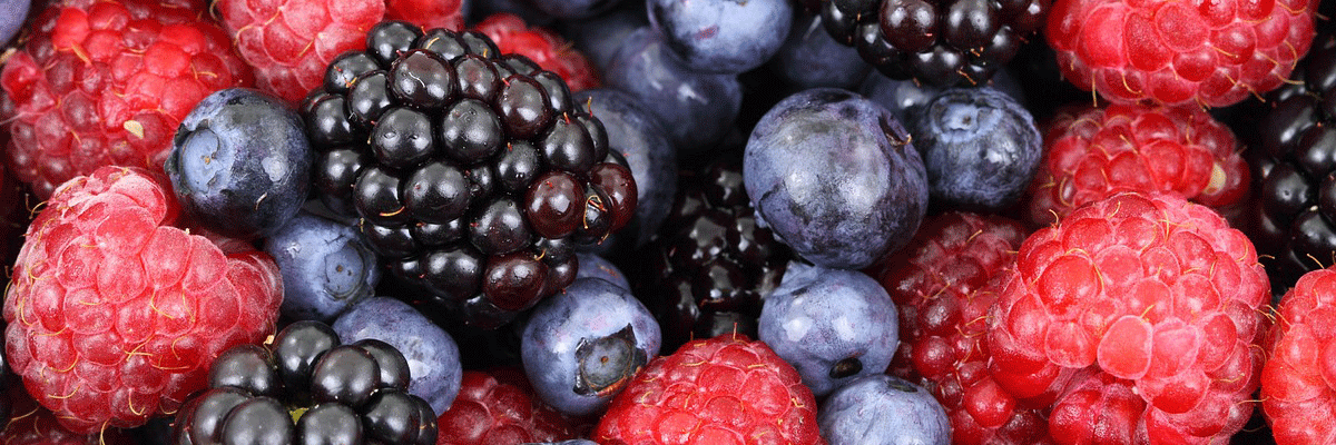 Geschmack und Staerke