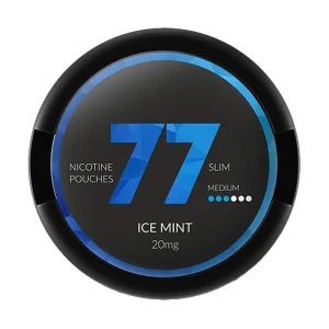77 Pouches Ice Mint