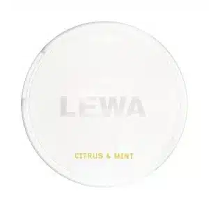 LEWA Citrus & Mint