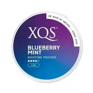 XQS Blueberry Mint