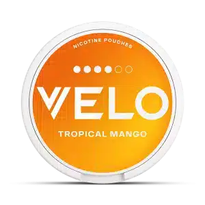 velo tropical mango