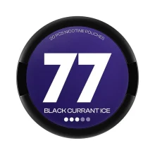 77 Pouches Black Currant